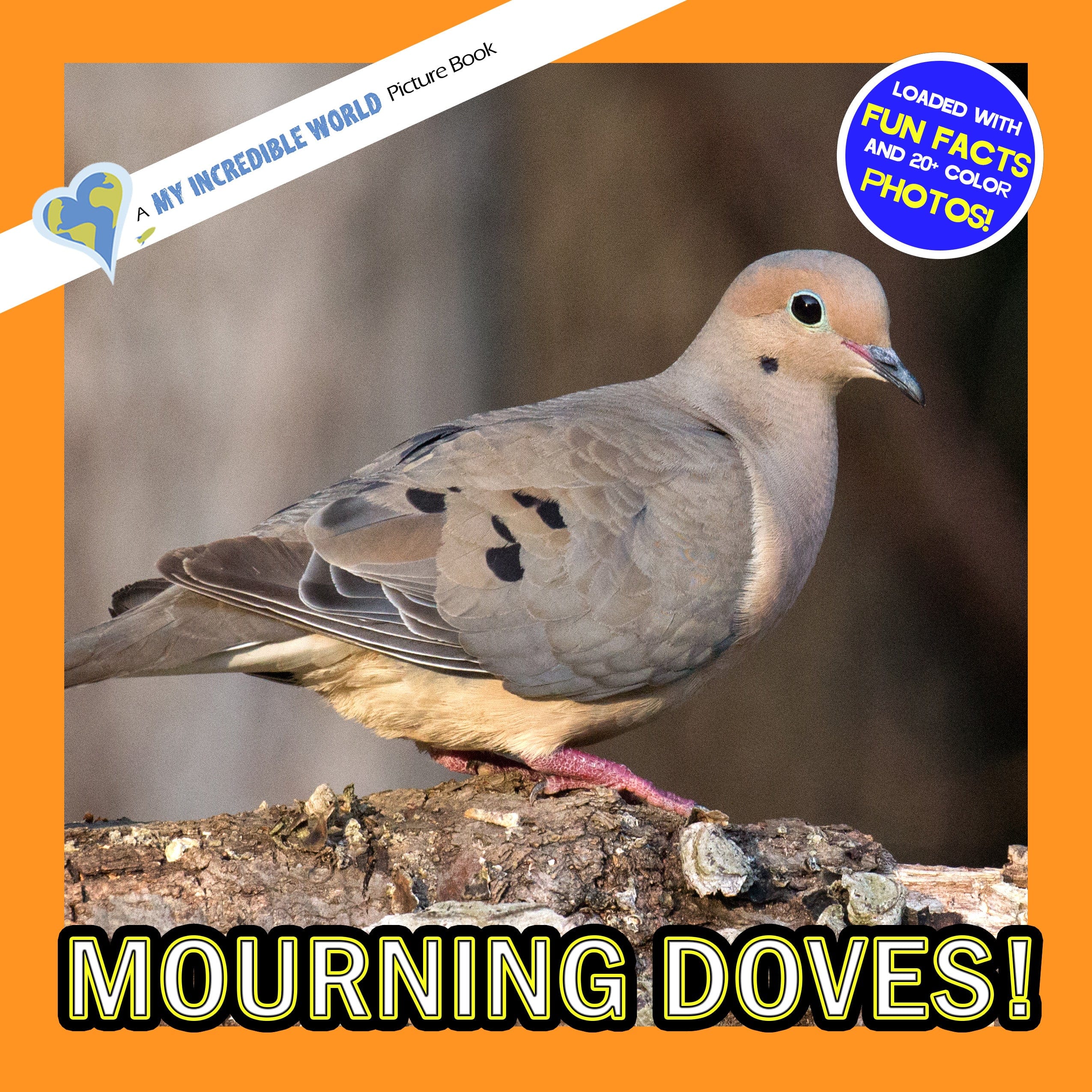 Mourning Doves! A My Incredible World Picture Book for Children